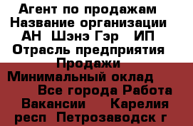 Агент по продажам › Название организации ­ АН "Шэнэ Гэр", ИП › Отрасль предприятия ­ Продажи › Минимальный оклад ­ 45 000 - Все города Работа » Вакансии   . Карелия респ.,Петрозаводск г.